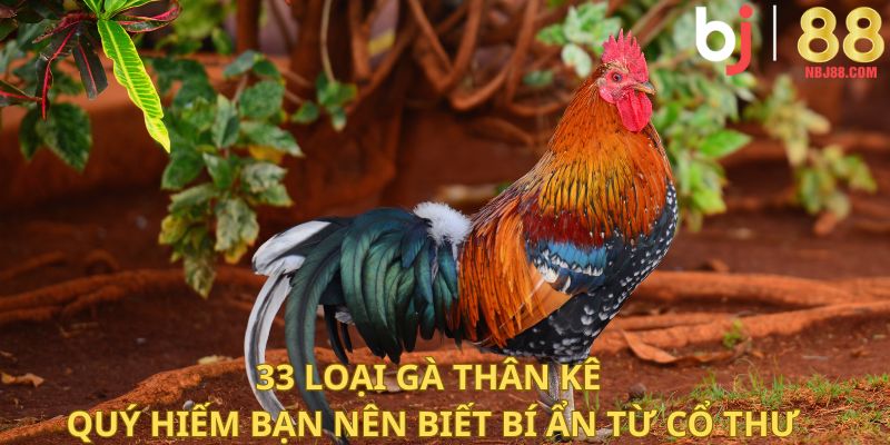 33 Loại Gà Thần Kê Quý Hiếm Bạn Nên Biết - Bí Ẩn Từ Cổ Thư
