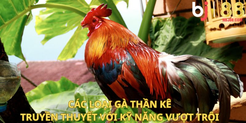 Các loại gà thần kê truyền thuyết với kỹ năng vượt trội.