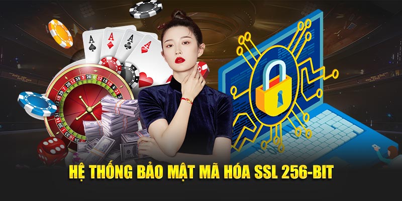 Hệ thống bảo mật mã hóa SSL 256-bit đảm bảo an toàn