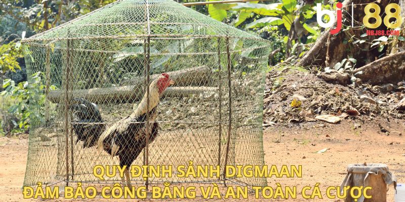 Quy định sảnh Digmaan đảm bảo công bằng và an toàn cá cược.