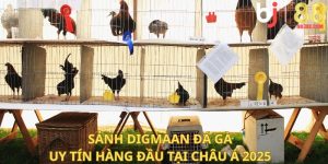 Sảnh Digmaan – Đá Gà Uy Tín Hàng Đầu Tại Châu Á 2025