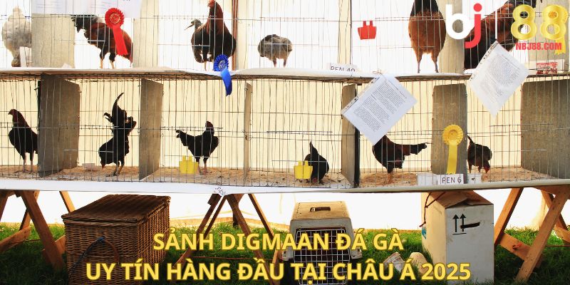 Sảnh Digmaan – Đá Gà Uy Tín Hàng Đầu Tại Châu Á 2025